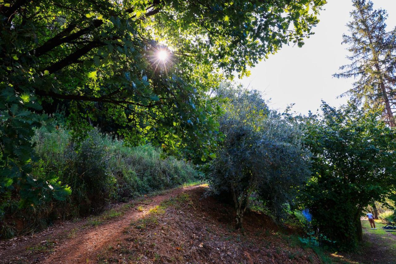 Agriturismo Terra Volonteri Montecatini Terme Buitenkant foto