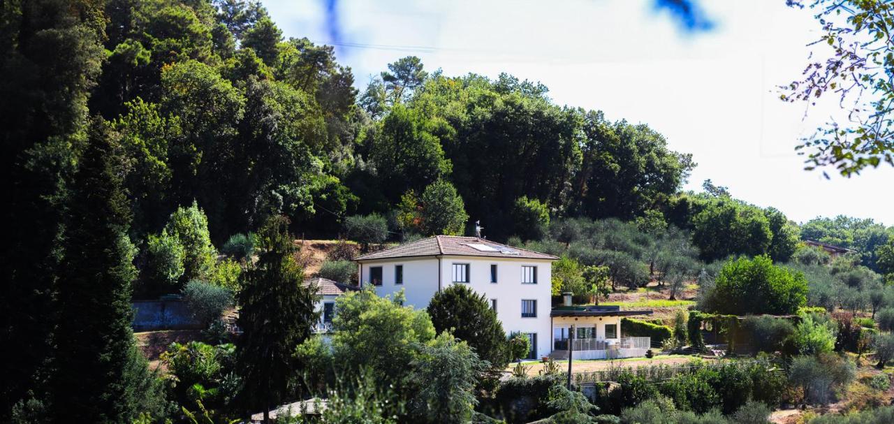 Agriturismo Terra Volonteri Montecatini Terme Buitenkant foto