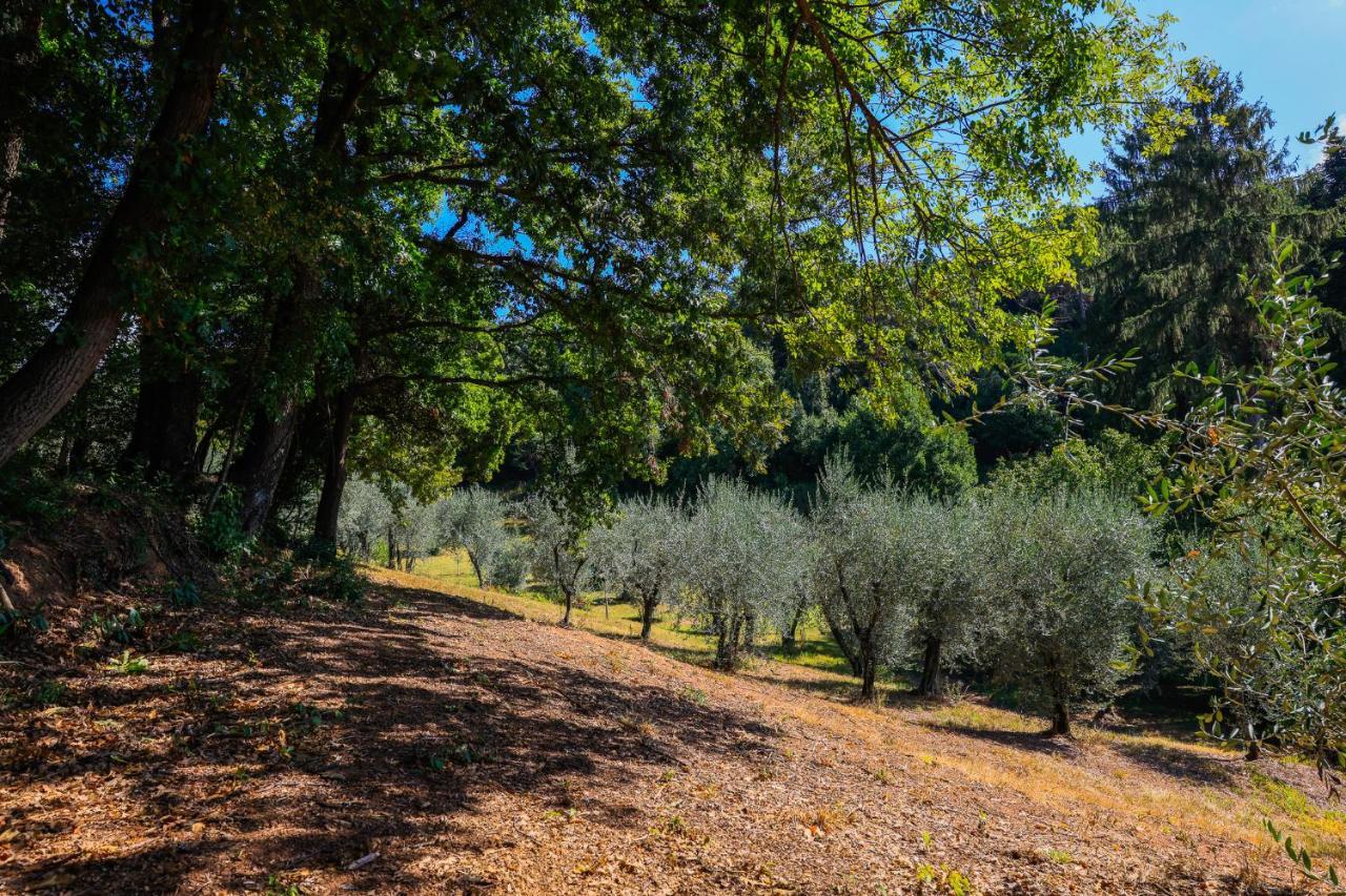 Agriturismo Terra Volonteri Montecatini Terme Buitenkant foto