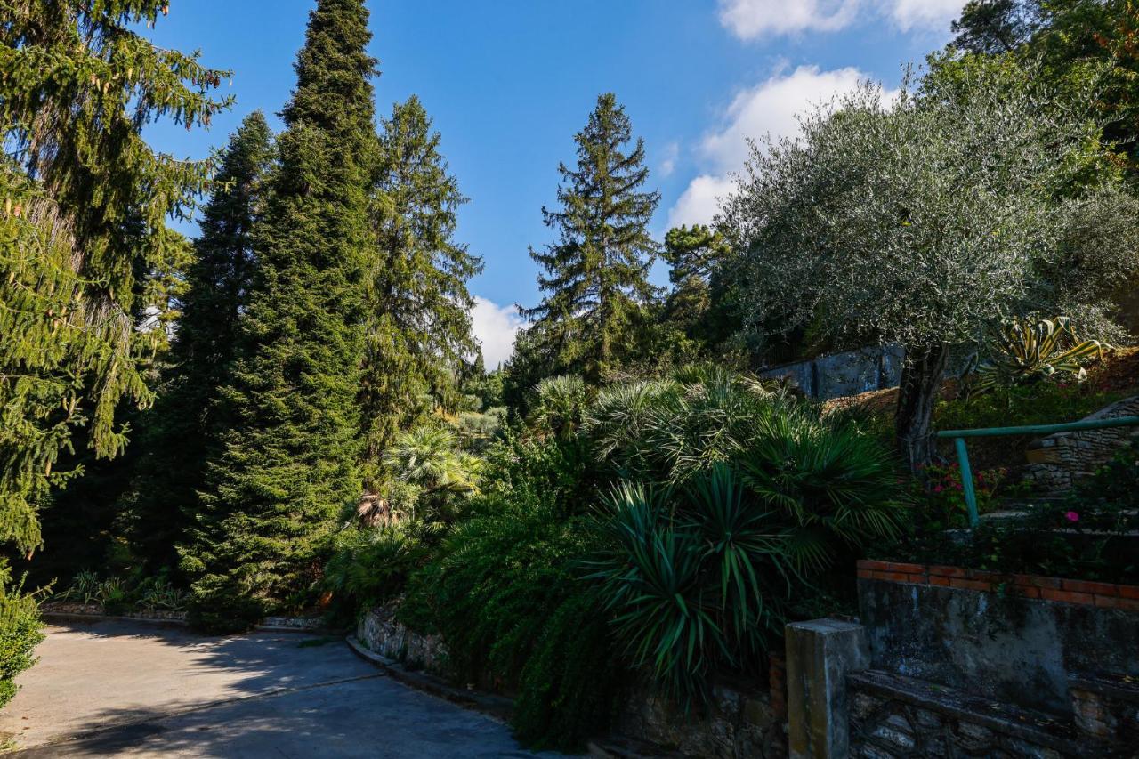 Agriturismo Terra Volonteri Montecatini Terme Buitenkant foto