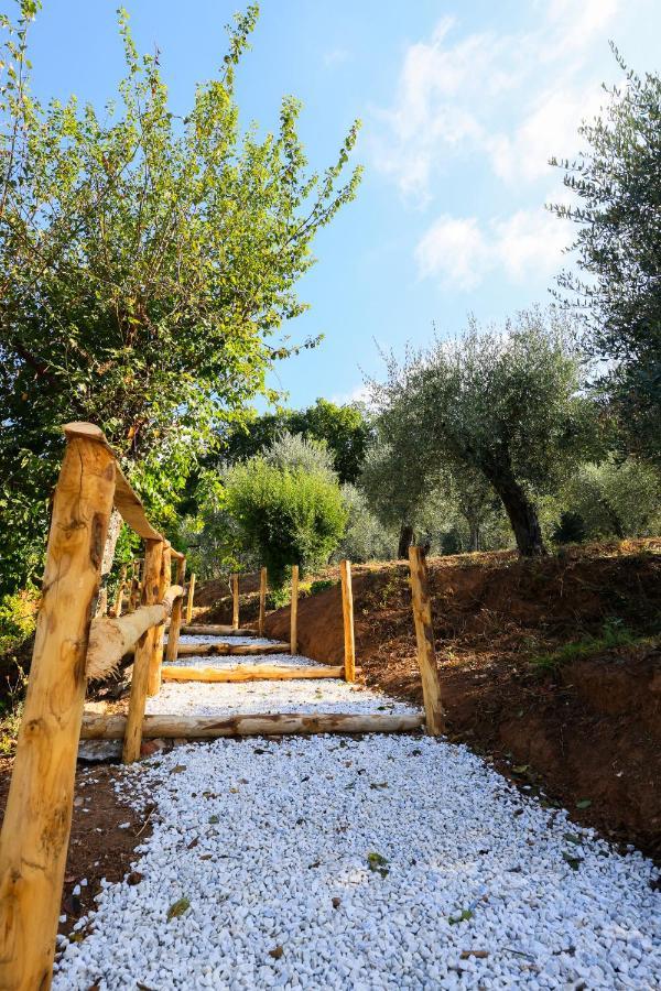 Agriturismo Terra Volonteri Montecatini Terme Buitenkant foto