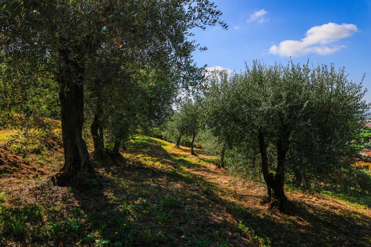 Agriturismo Terra Volonteri Montecatini Terme Buitenkant foto